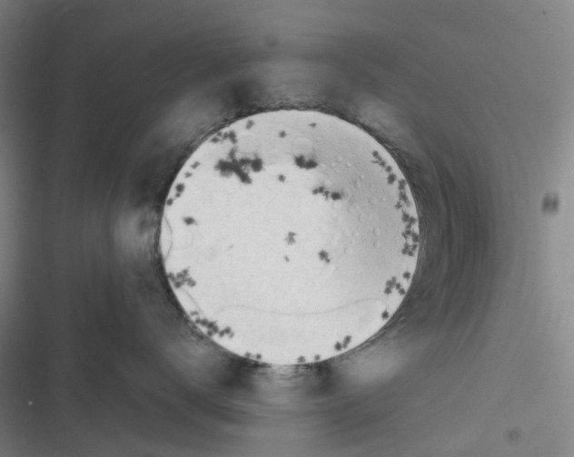 X0000116660672201001111251