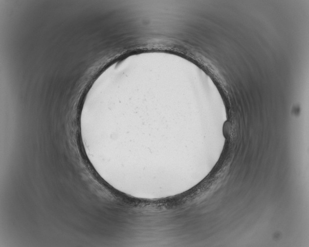 X0000116660673201001111250