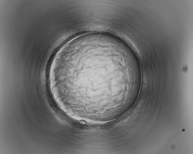 X0000116660674201001111250