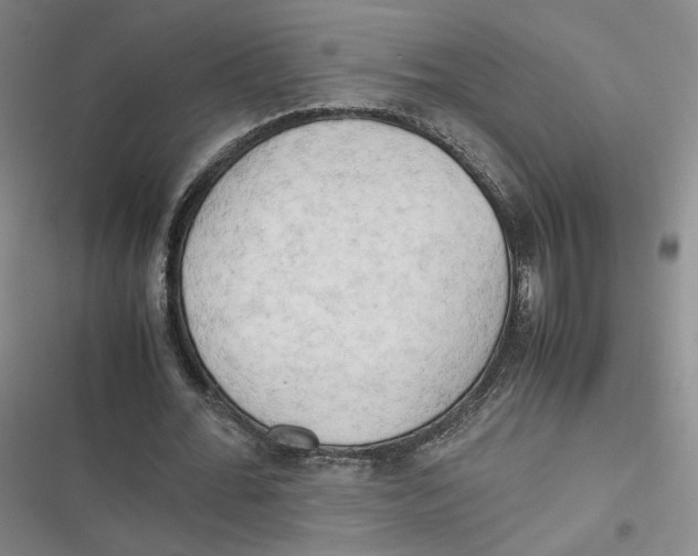 X0000116660676201001111250