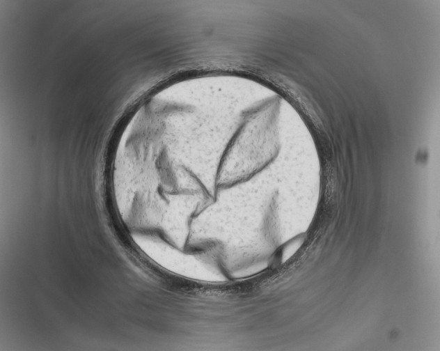 X0000116660677201001111250