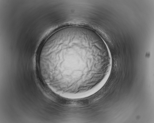 X0000116660678201001111250