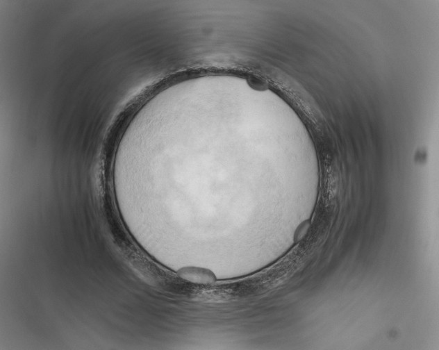 X0000116660680201001111250