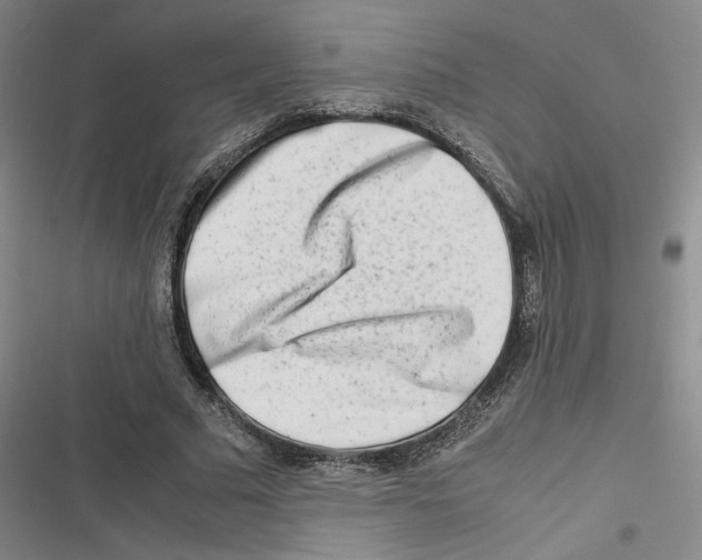X0000116660681201001111250