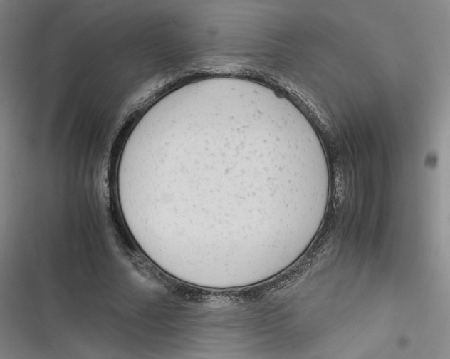 X0000116660682201001111250