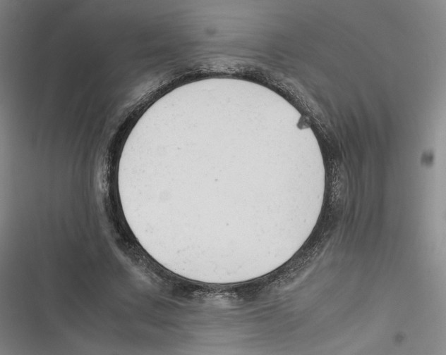 X0000116660683201001111250