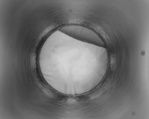 X0000116660684201001111250