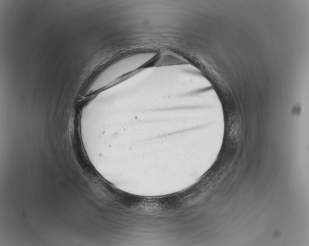 X0000116660685201001111250