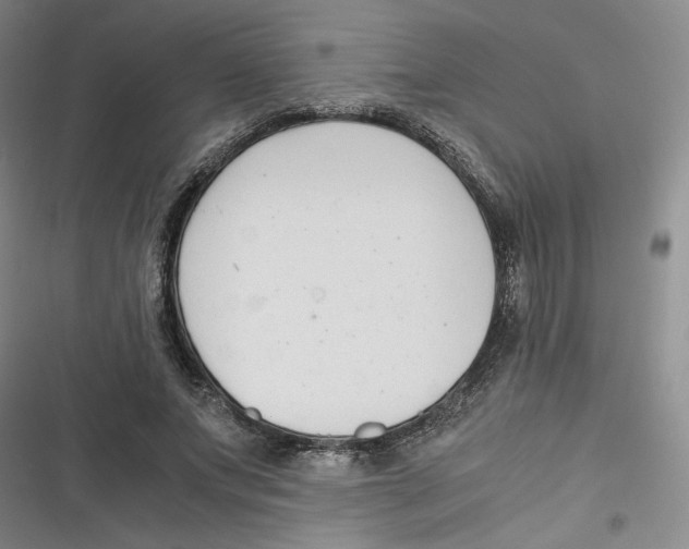 X0000116660687201001111250