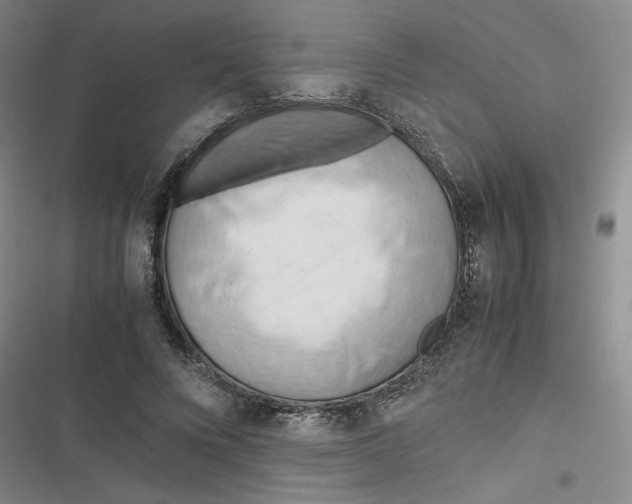 X0000116660688201001111250