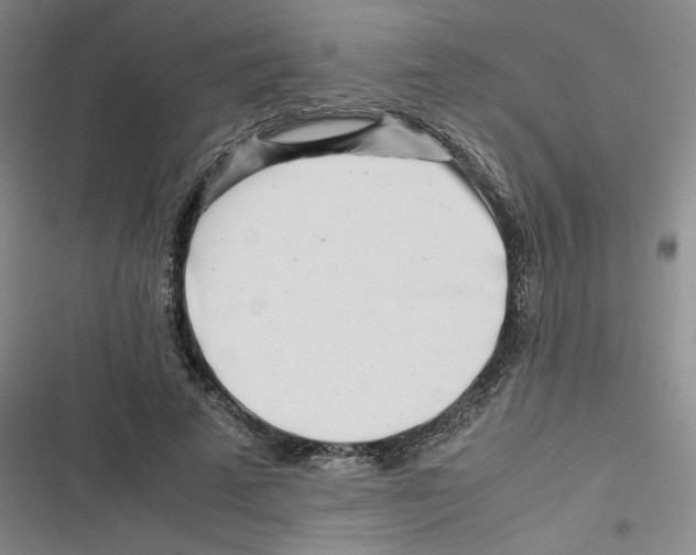 X0000116660689201001111250