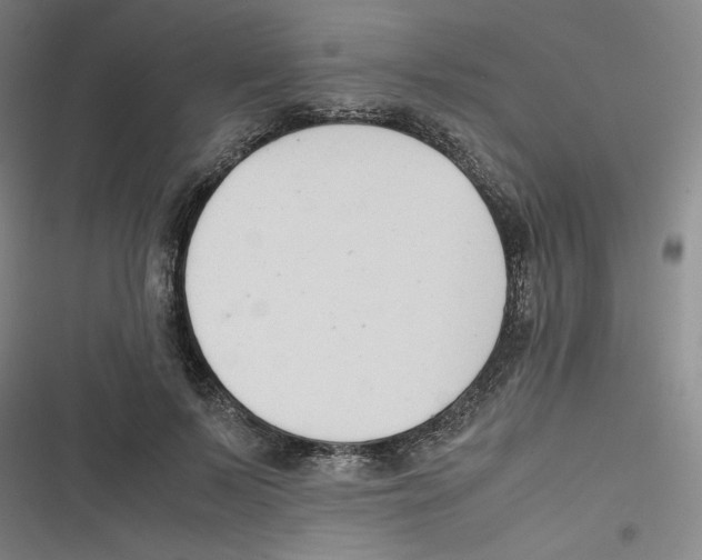 X0000116660695201001111250