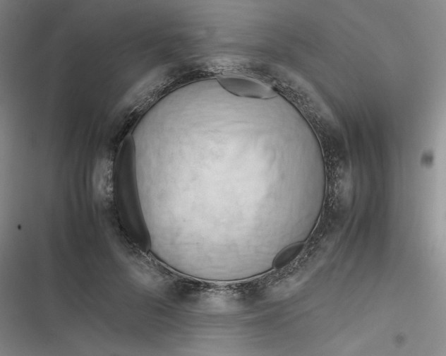 X0000116660696201001111250