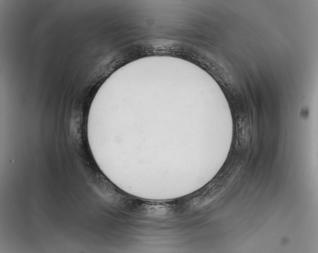 X0000116660698201001111250