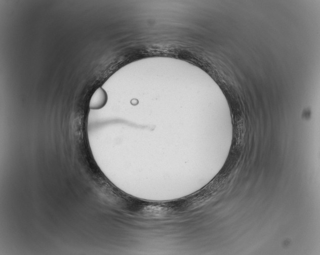 X0000116660699201001111250