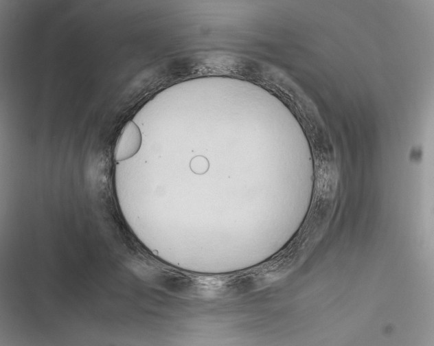 X0000116660701201001111250