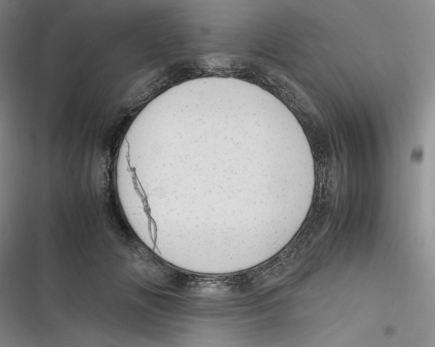 X0000116660702201001111250