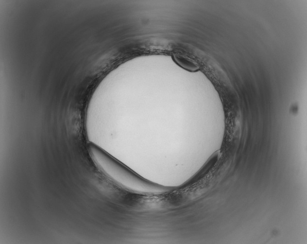 X0000116660704201001111250