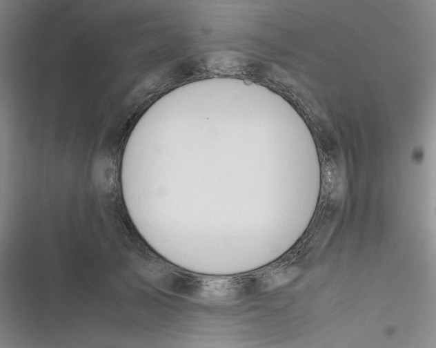 X0000116660705201001111250