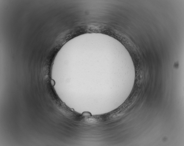 X0000116660706201001111250