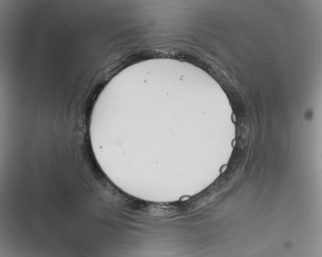 X0000116660707201001111250
