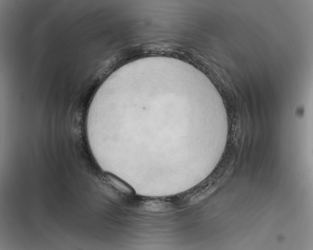 X0000116660708201001111250