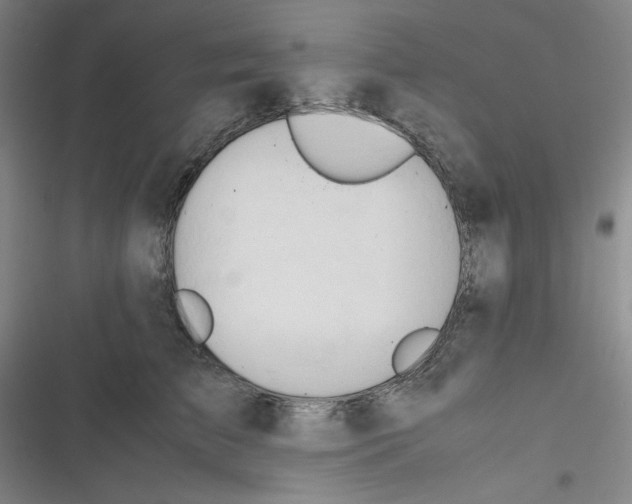 X0000116660709201001111250
