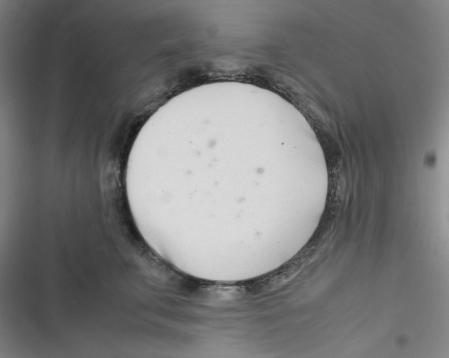 X0000116660711201001111250