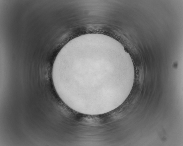 X0000116660712201001111250