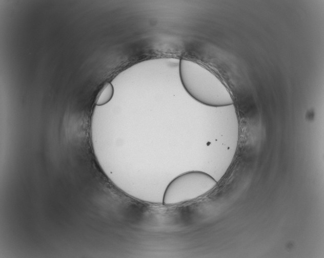 X0000116660713201001111250