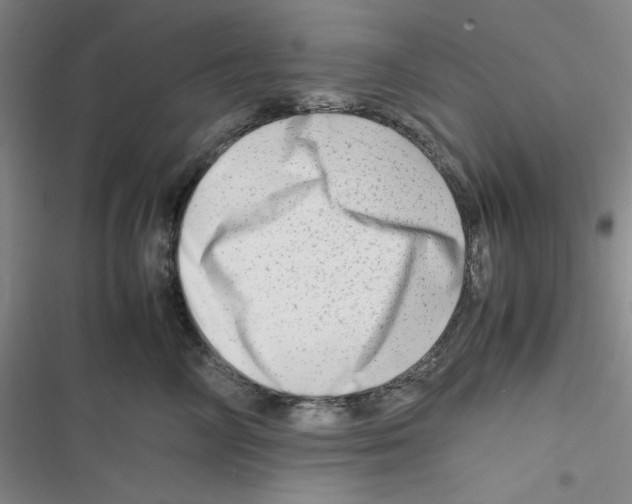 X0000116660714201001111250