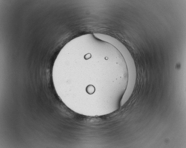 X0000116660716201001111250