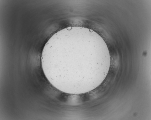 X0000116660717201001111250