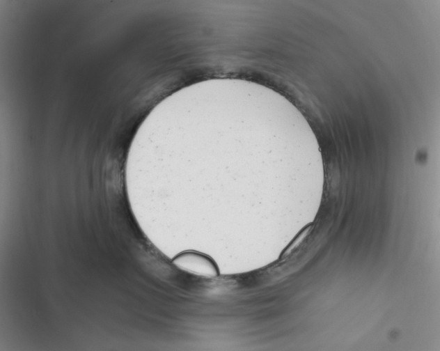 X0000116660719201001111250