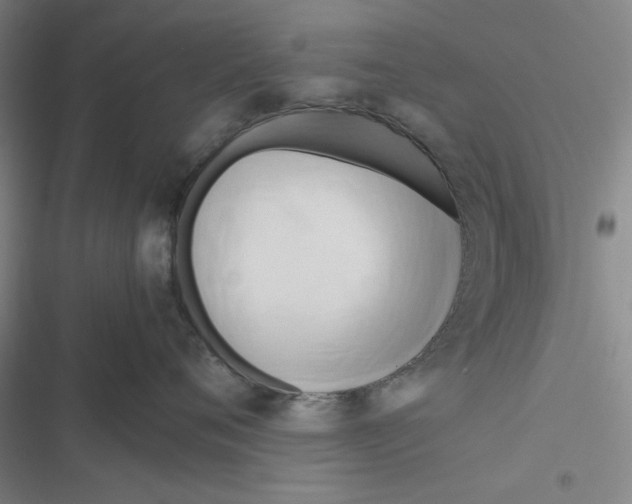X0000116660720201001111250