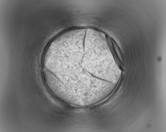 X0000116660721201001111249