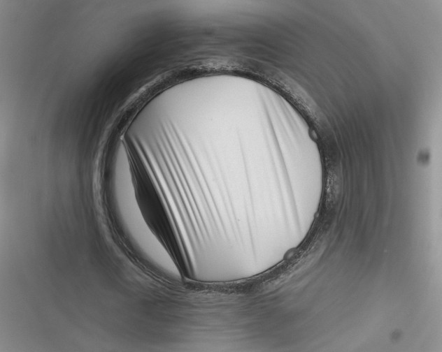 X0000116660722201001111249