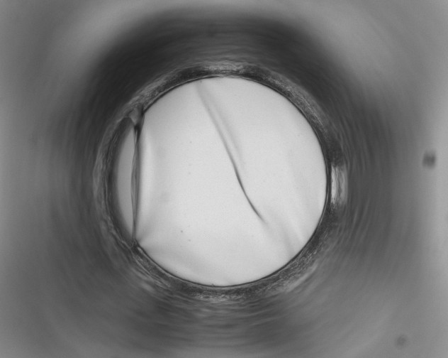 X0000116660723201001111249