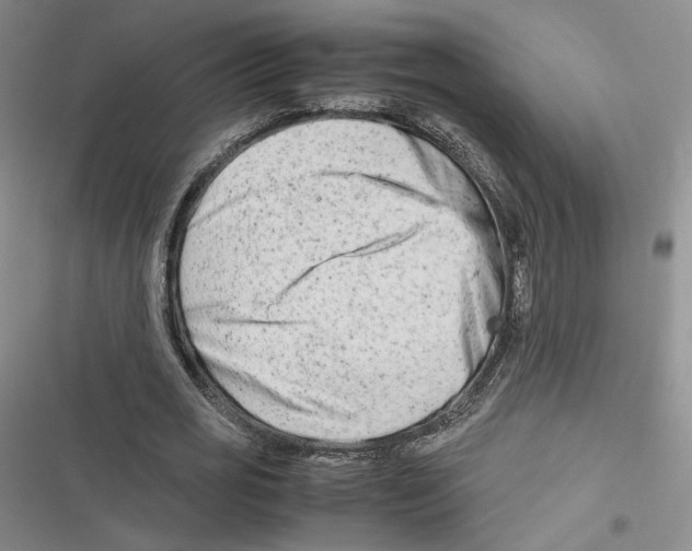 X0000116660725201001111249