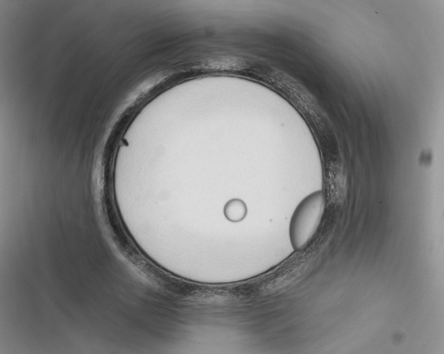 X0000116660726201001111249