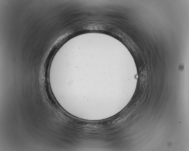 X0000116660727201001111249