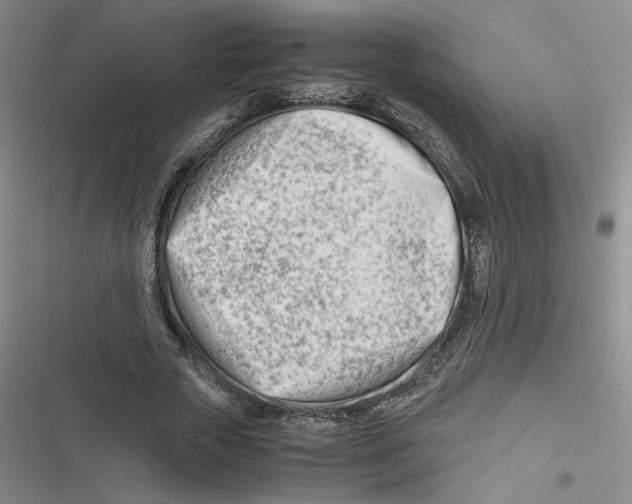 X0000116660729201001111249