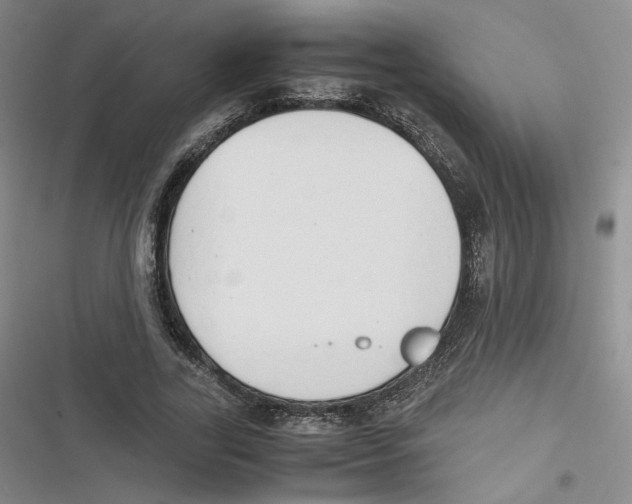 X0000116660731201001111249