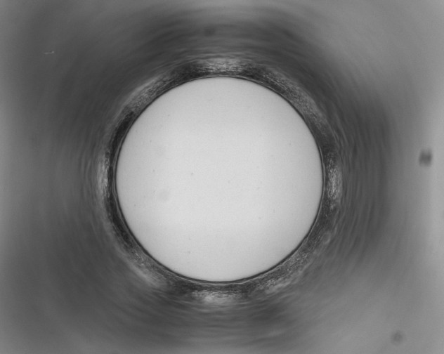 X0000116660733201001111249