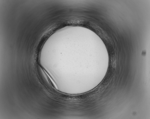 X0000116660735201001111249