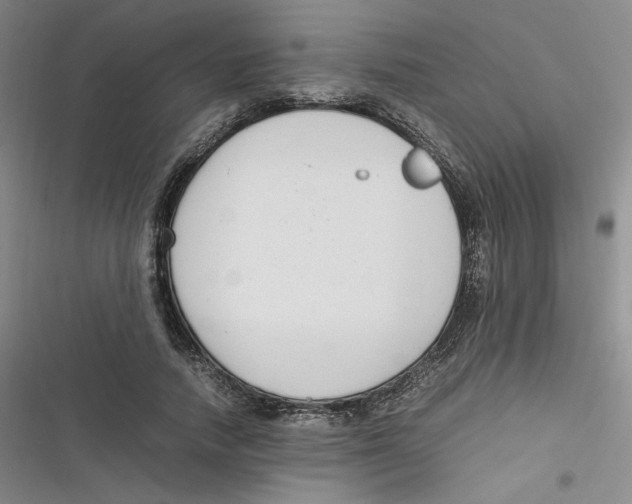 X0000116660738201001111249