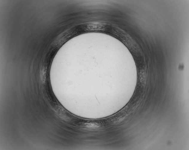 X0000116660741201001111249