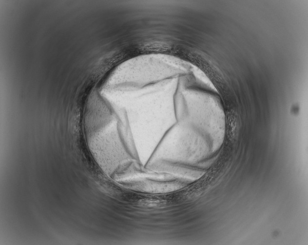 X0000116660745201001111249