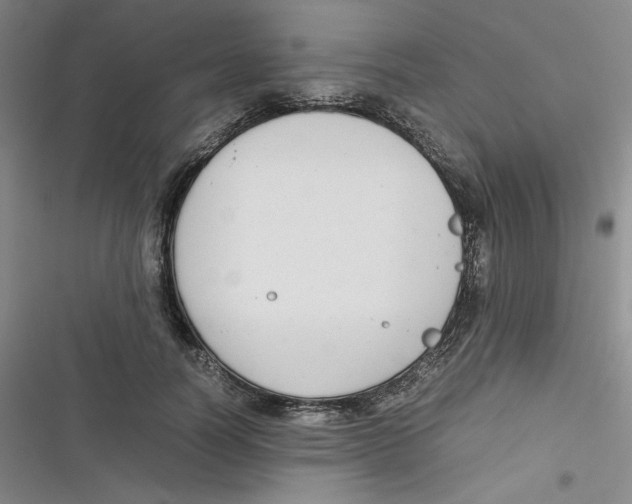 X0000116660746201001111249