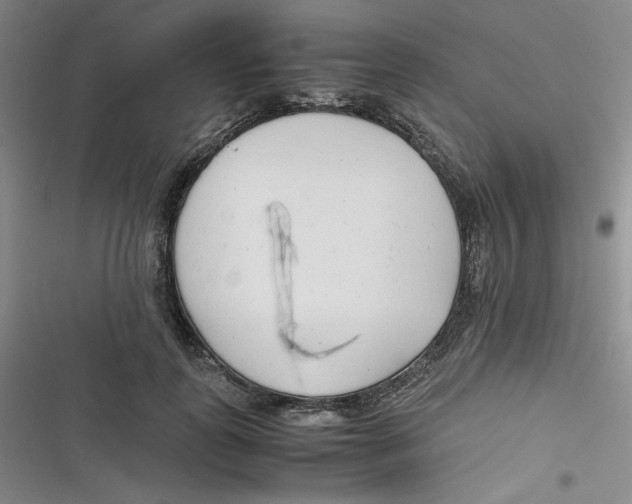 X0000116660747201001111249